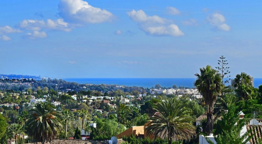 Photo of Futurist Paradise