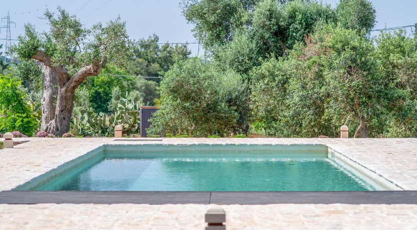 Photo of Natural Peace