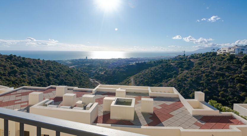 Photo of The Imperial Eagle