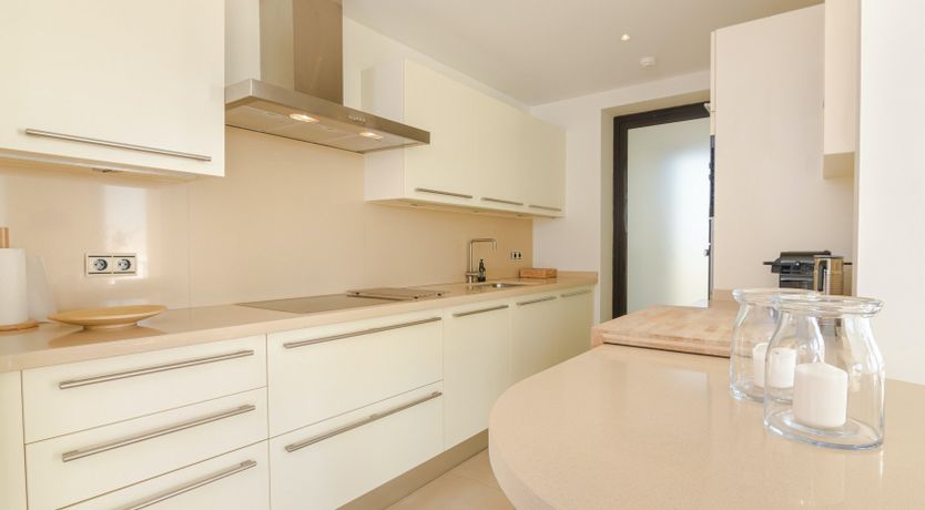 Photo of The Imperial Eagle