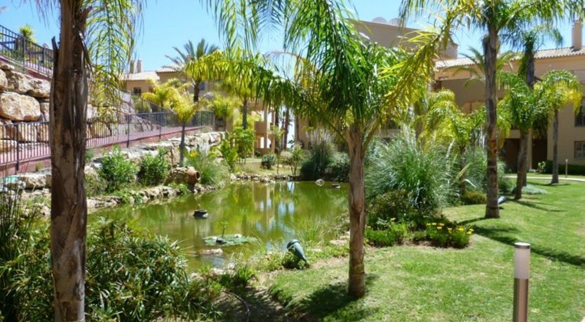 Photo of Admiring Glance