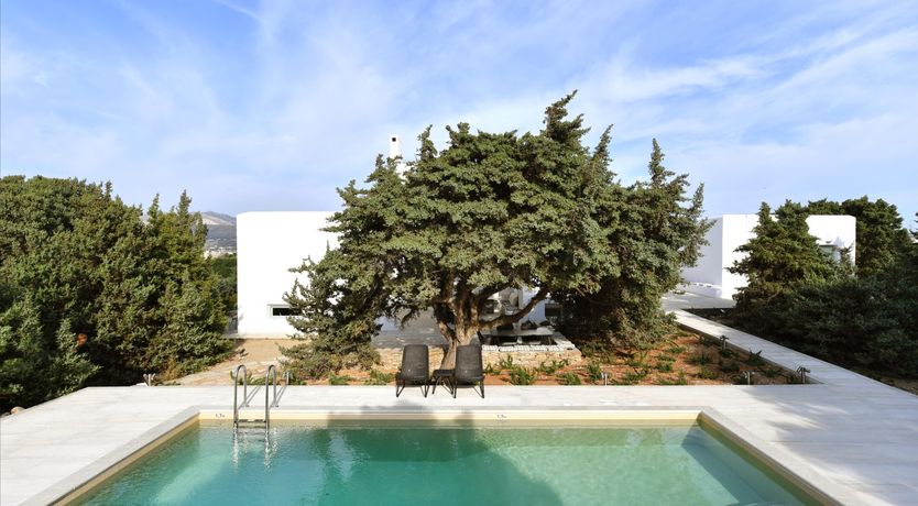 Photo of The Archetype