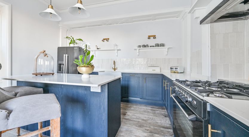 Photo of Midnight Velvet