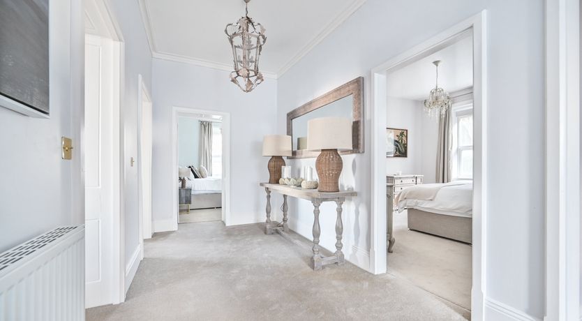 Photo of Midnight Velvet