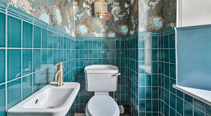 Photo of Midnight Velvet