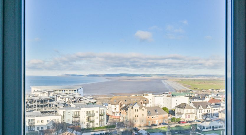 Photo of Midnight Velvet