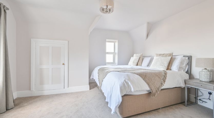 Photo of Midnight Velvet