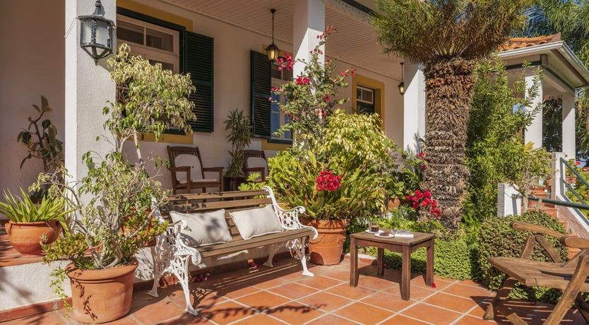 Photo of Madeiran Masterpiece