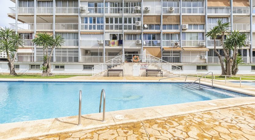 Photo of When We Have the Stars