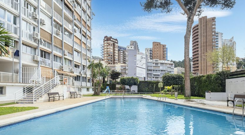 Photo of When We Have the Stars