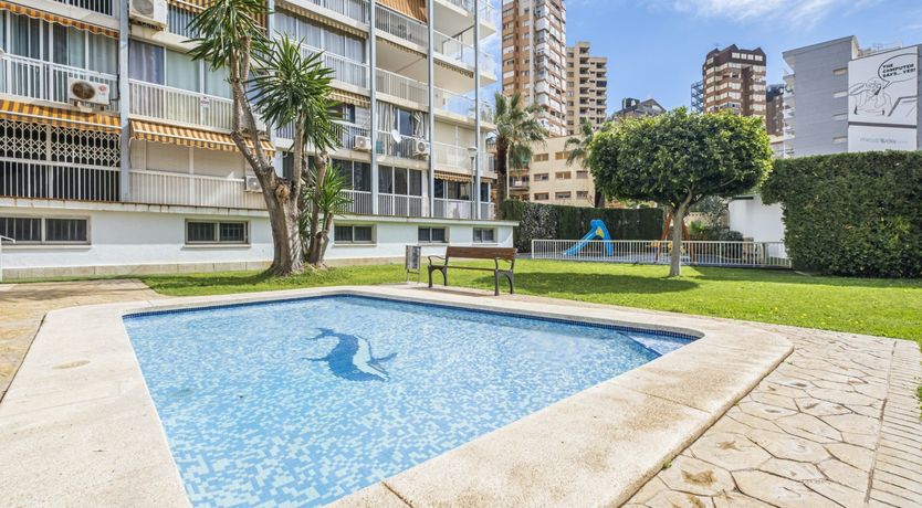 Photo of When We Have the Stars