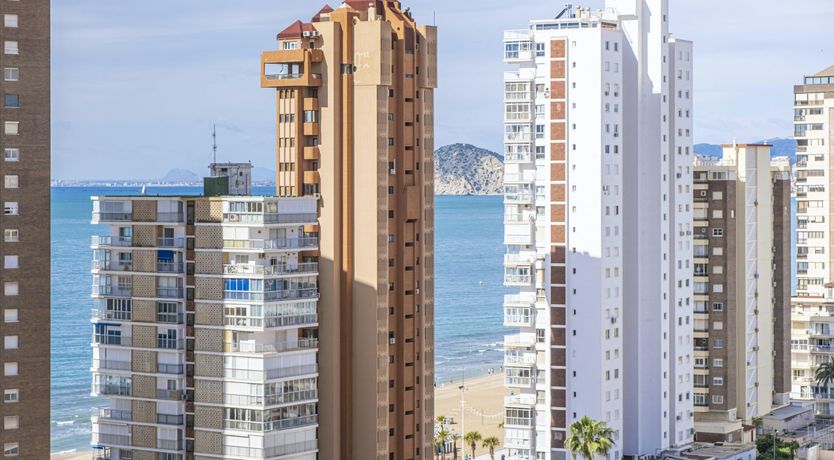 Photo of When We Have the Stars