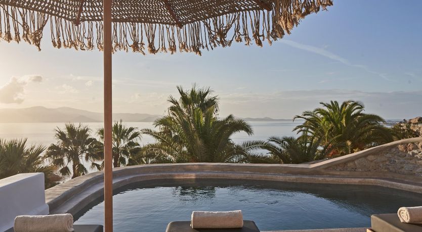 Photo of Of Palm & Sea