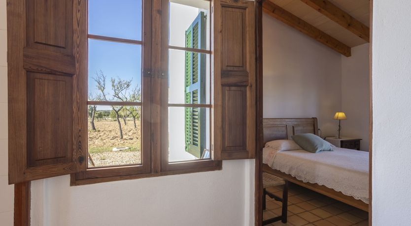 Photo of Summer Crush