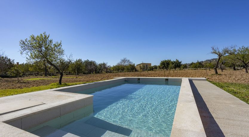 Photo of Summer Crush