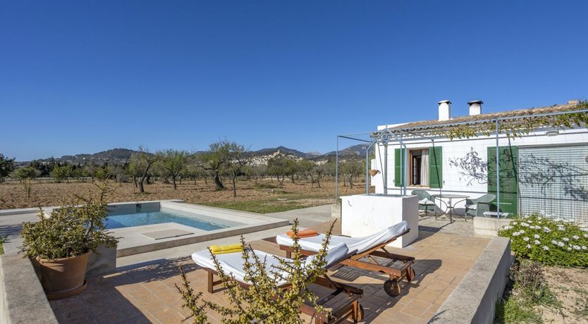 Photo of Summer Crush