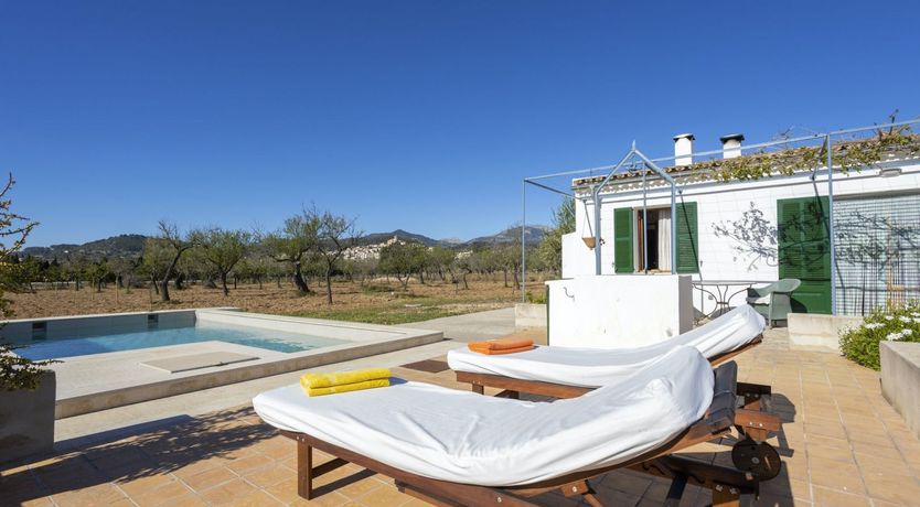 Photo of Summer Crush