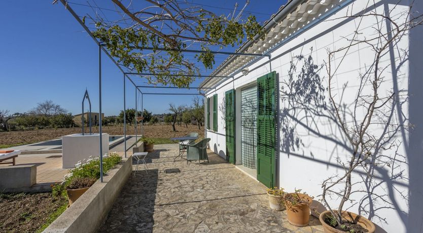 Photo of Summer Crush