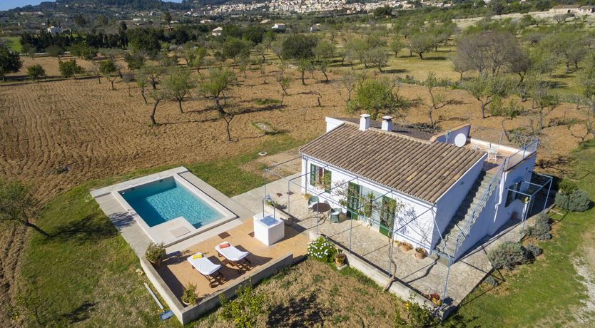 Photo of Summer Crush