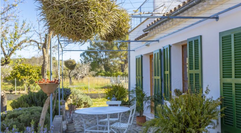 Photo of Summer Crush