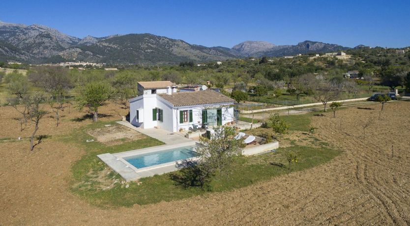 Photo of Summer Crush