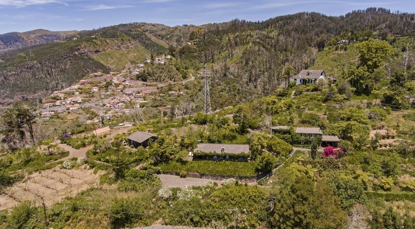 Photo of Grassy Hollow