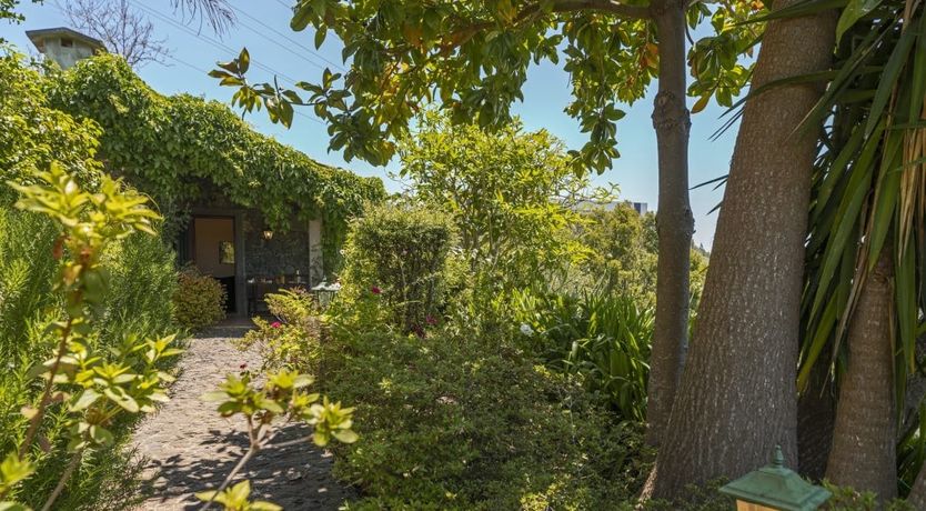 Photo of Grassy Hollow