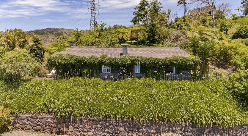 Photo of Grassy Hollow