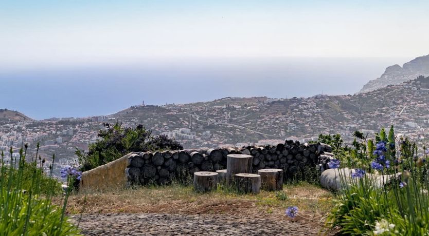 Photo of Grassy Hollow