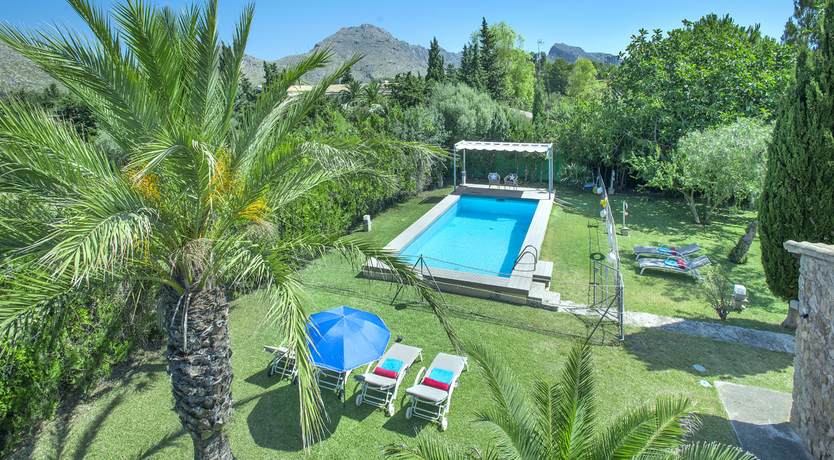 Photo of Turquoise Crush