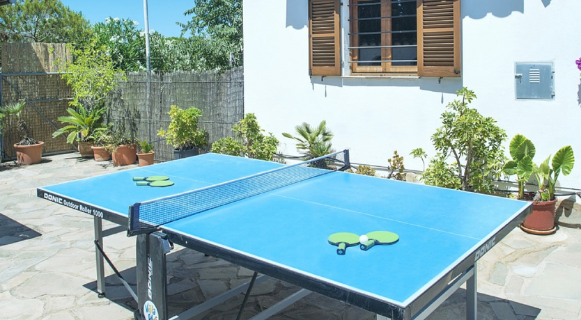 Photo of Turquoise Crush