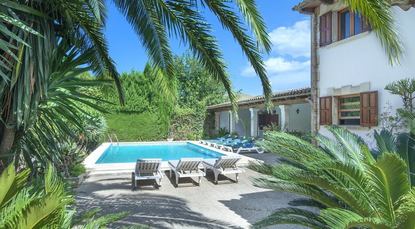 Photo of Turquoise Crush