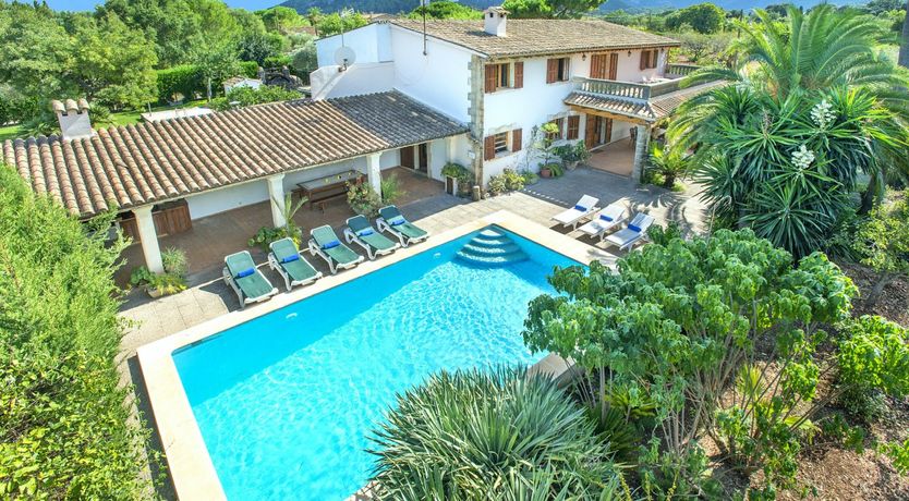 Photo of Turquoise Crush