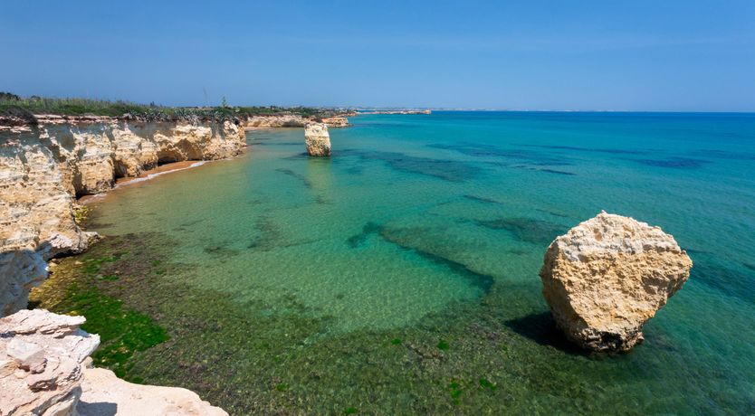 Photo of Sea Supreme