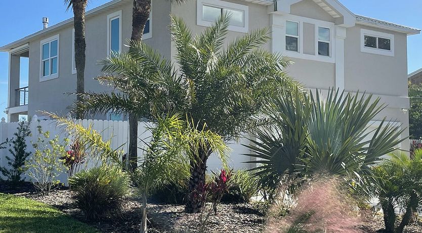 Photo of Dolphin Watch