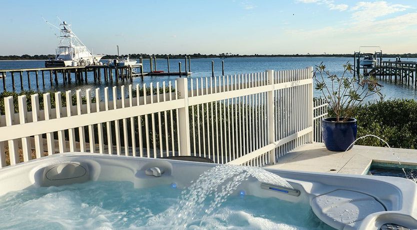 Photo of Dolphin Watch