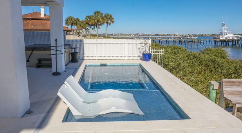 Photo of Dolphin Watch