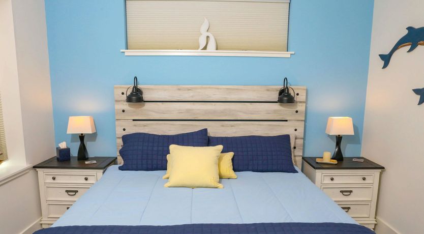 Photo of Dolphin Watch