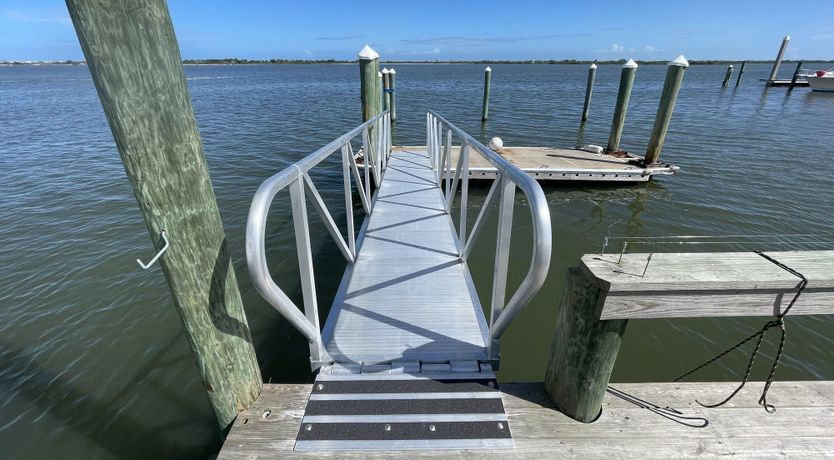 Photo of Dolphin Watch