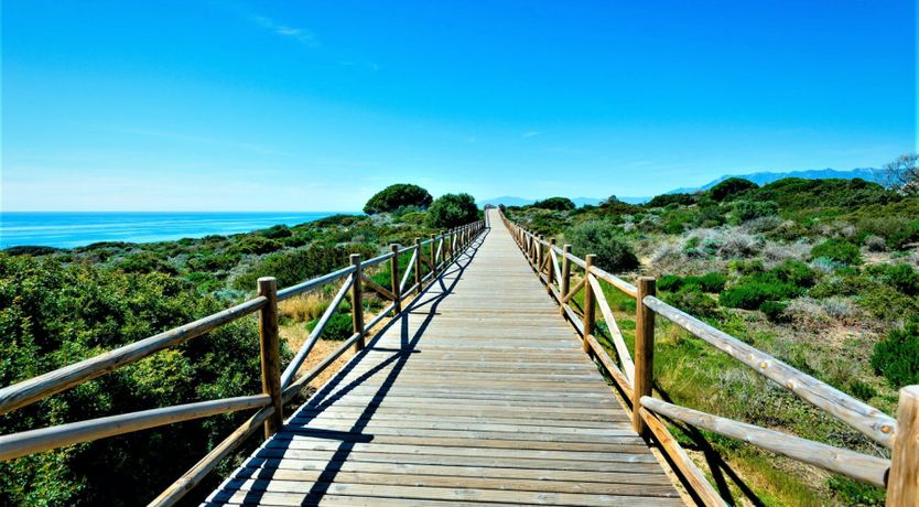 Photo of A Hole in One