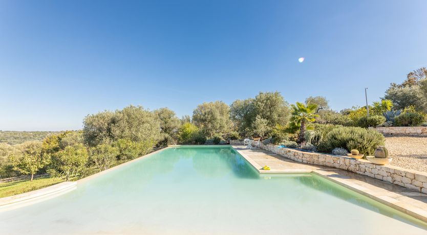 Photo of In The Rooftops