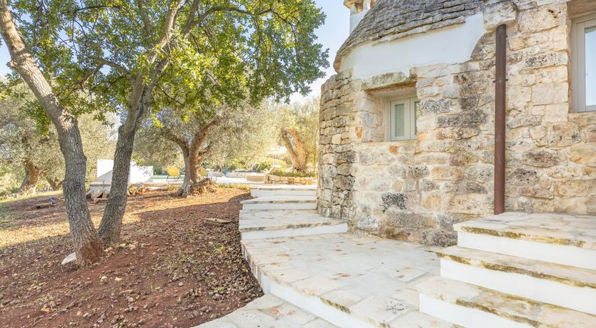 Photo of In The Rooftops