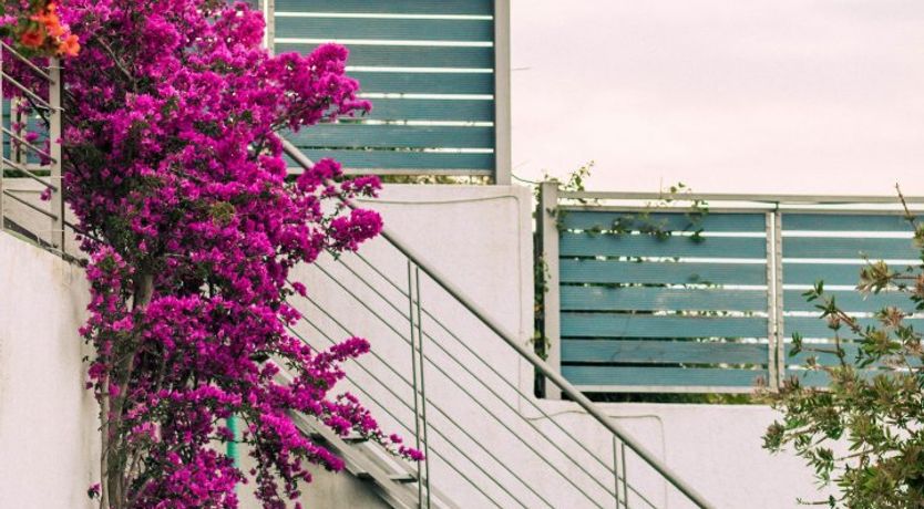 Photo of Watercolour Scene