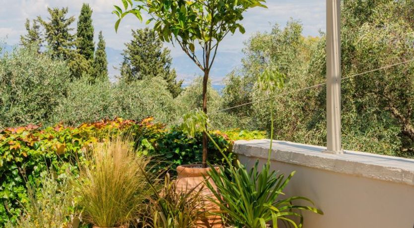 Photo of Colours of Corfu