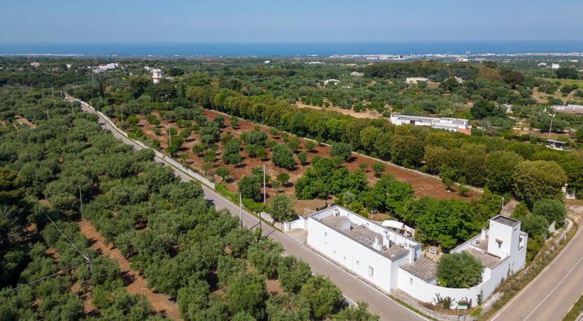 Photo of I Dream of Italy