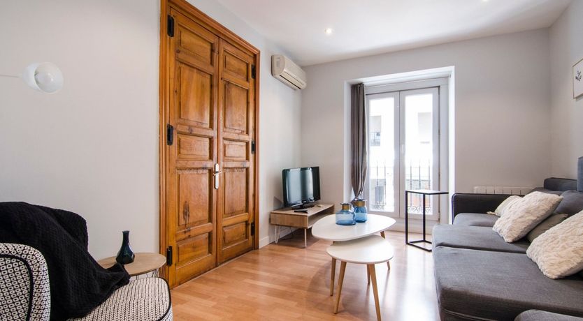 Photo of Blue Magnolia