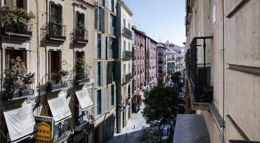 Photo of Blue Magnolia