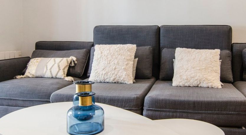 Photo of Blue Magnolia