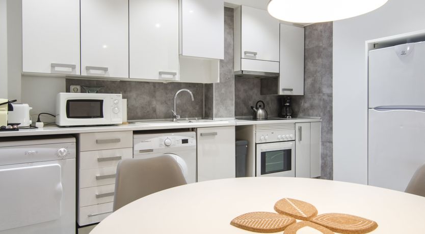 Photo of Blue Magnolia