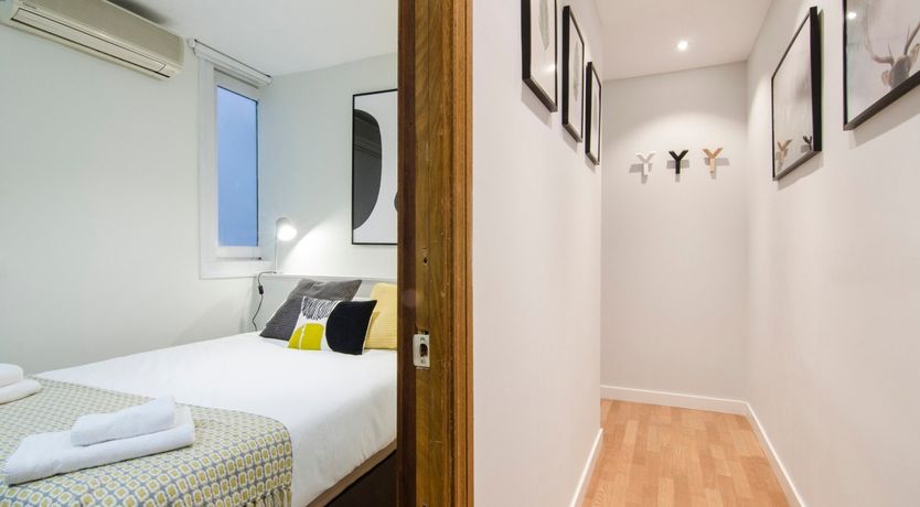 Photo of Blue Magnolia